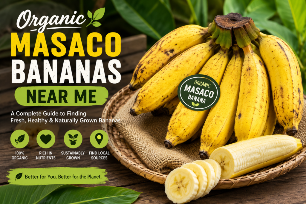 Organic Masaco Bananas Near Me